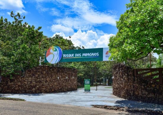 Bosque dos Papagaios em Boa Vista foto PMBV