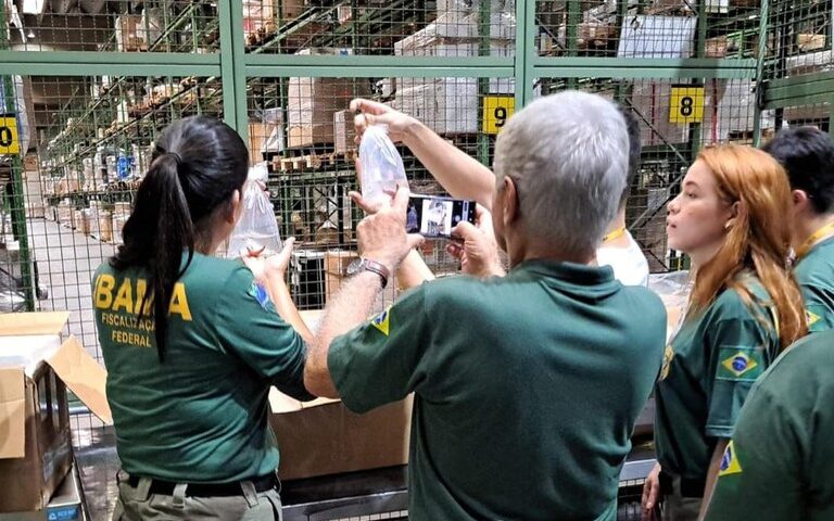 Cabeça de babuíno e bile de urso são apreendidas no Aeroporto de Guarulhos