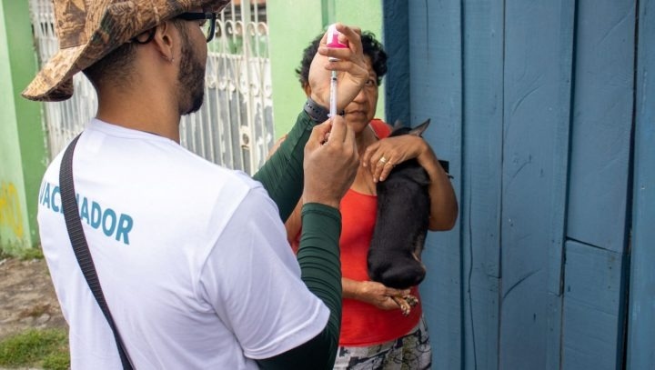Campanha de vacinação antirrábica começa nesta quarta-feira em Manaus