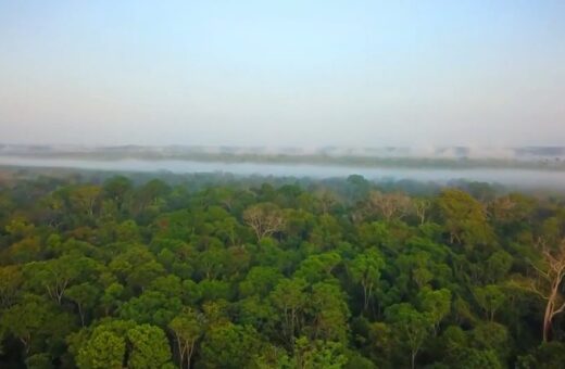 amazônia