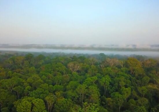 amazônia