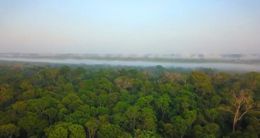 amazônia