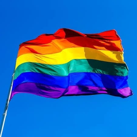 Comissão da Câmara discute projeto que pode vetar o casamento civil entre pessoas do mesmo sexo