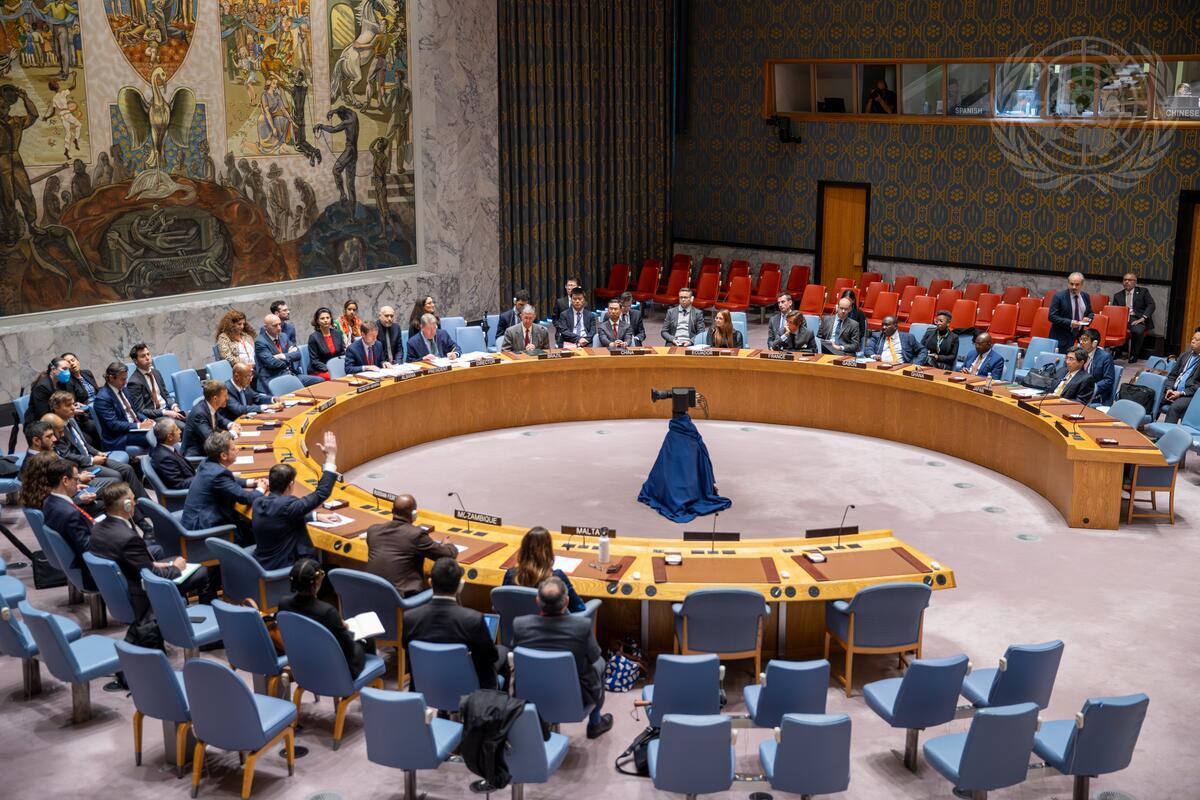Conselho de Segurança da ONU - - Foto: ONU/Paulo Filgueiras