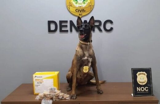 Cadela farejadora descobre 1kg de droga em agência dos Correios no AC