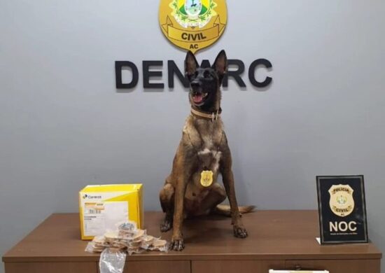 Cadela farejadora descobre 1kg de droga em agência dos Correios no AC