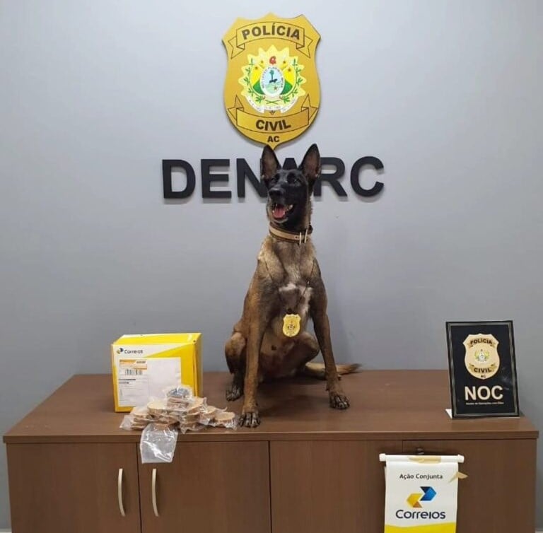 Cadela farejadora descobre 1kg de droga em agência dos Correios no AC