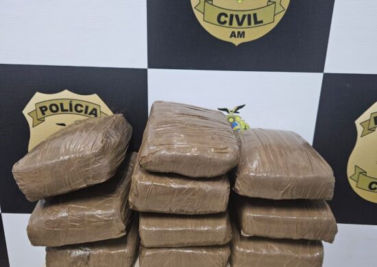 Os tabletes de maconha foram encontrados após denúncia anonima - Foto: Divulgação/PC-AM.