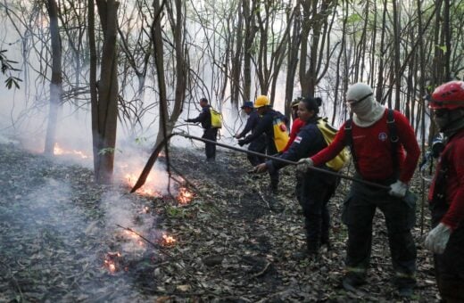 Mais de 40 bombeiros atuam no local com mais de três quilometros