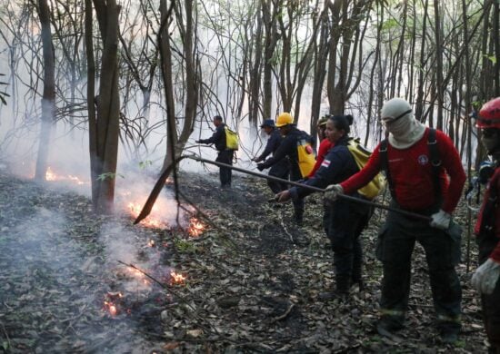 Mais de 40 bombeiros atuam no local com mais de três quilometros