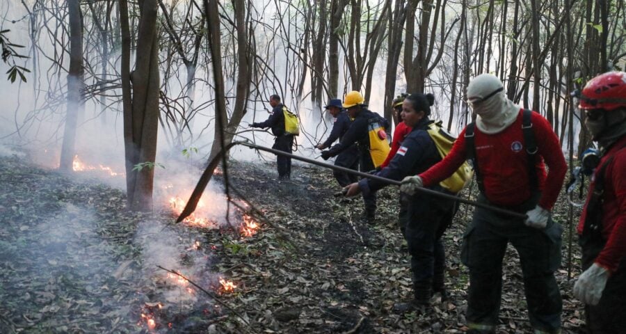 Mais de 40 bombeiros atuam no local com mais de três quilometros