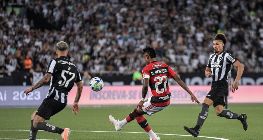 O Botafogo ainda não havia perdido em casa neste campeonato