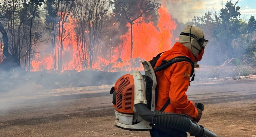 Bombeiros iniciaram o combate do incêndio no Sul de Palmas, por volta das 12h e terminaram por volta das 16h