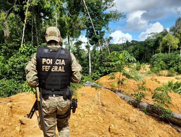 Operação da PF apura homicídio em terra indígena no Maranhão