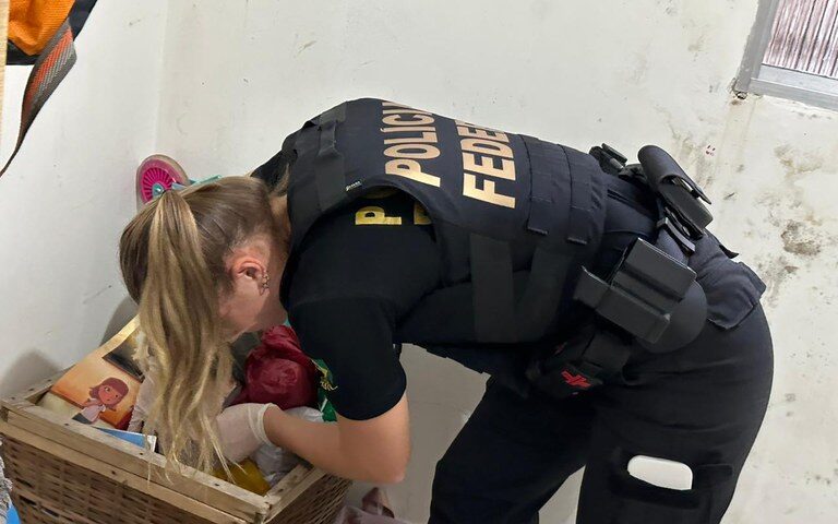 Operação da PF em Manaus prende homem com material de abuso infantojuvenil