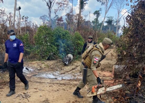 Operação no AM resulta em mais de R$ 10 milhões de multas em crimes ambientais