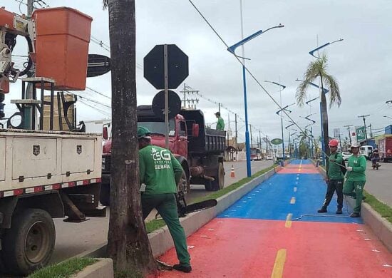 Prefeitura de Rio Branco esclarece derrubada de palmeiras na Via Chico Mendes