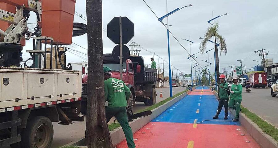 Prefeitura de Rio Branco esclarece derrubada de palmeiras na Via Chico Mendes