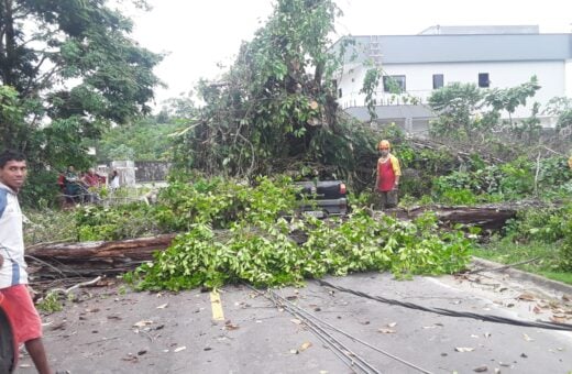 Poste e árvore caem em bairro de Manaus e locais ficam sem energia