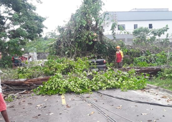 Poste e árvore caem em bairro de Manaus e locais ficam sem energia