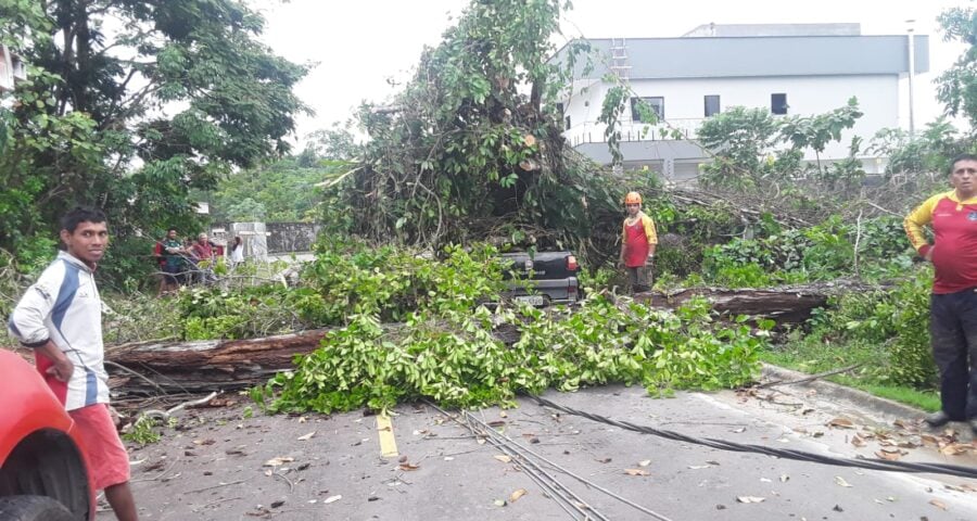 Poste e árvore caem em bairro de Manaus e locais ficam sem energia