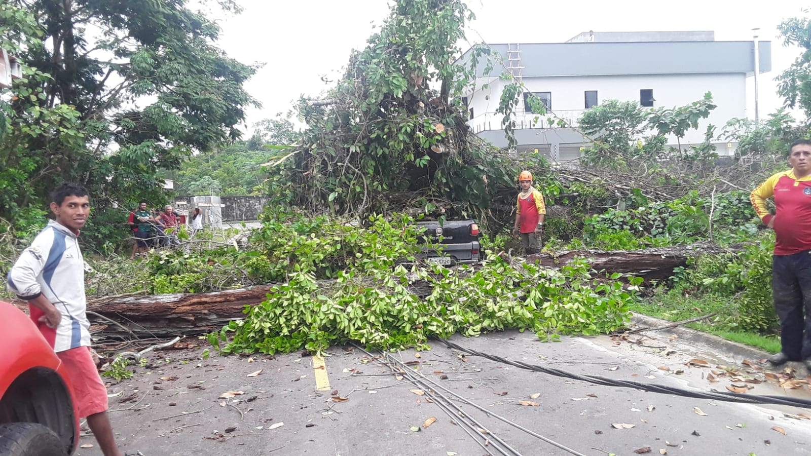 Poste e árvore caem em bairro de Manaus e locais ficam sem energia