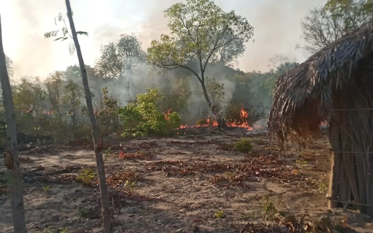 A COEQTO diz que os incêndios no território Quilombola são criminosos