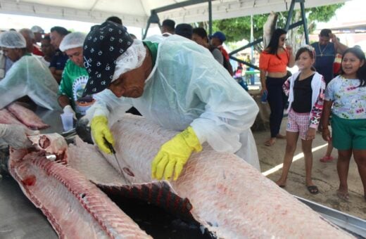 Comunidades indígenas realizam a pesca sustentável no Vale do Javari