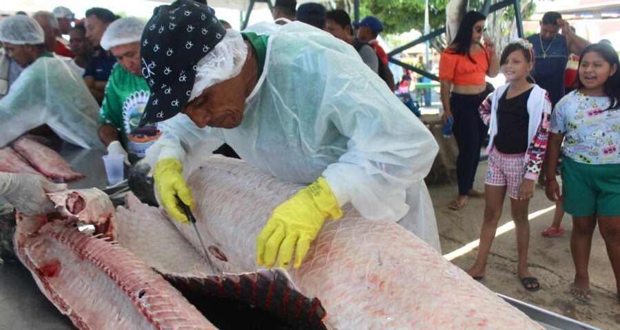 Comunidades indígenas realizam a pesca sustentável no Vale do Javari