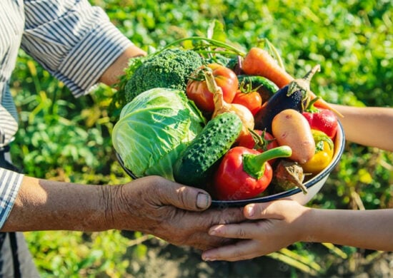 Programa de Aquisição de Alimentos abre inscrições em RR - Foto: Secom/Reprodução