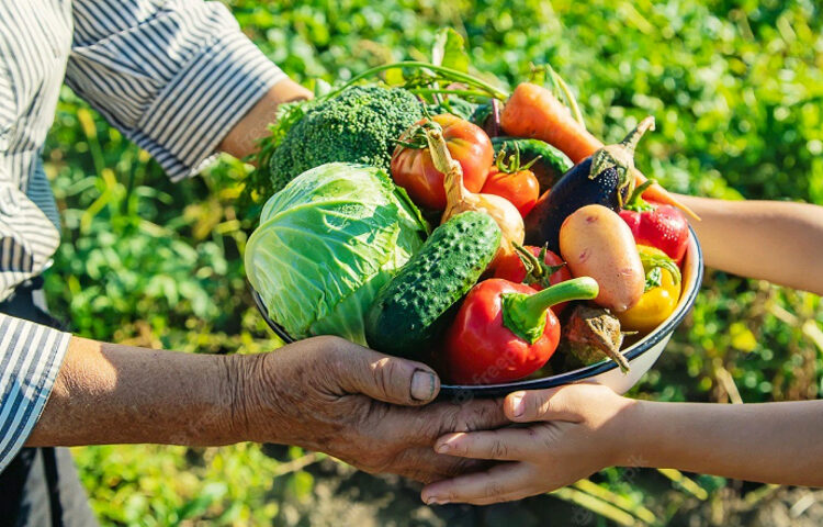 Programa de Aquisição de Alimentos abre inscrições em RR - Foto: Secom/Reprodução