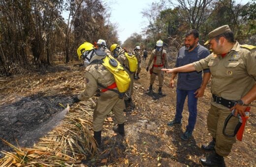 Combate às queimadas em Iranduba contam com militares do Amazonas e agentes federais - Foto: Arthur Castro/Secom