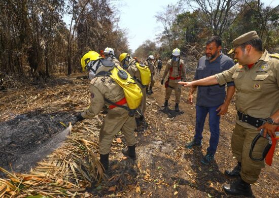 Combate às queimadas em Iranduba contam com militares do Amazonas e agentes federais - Foto: Arthur Castro/Secom