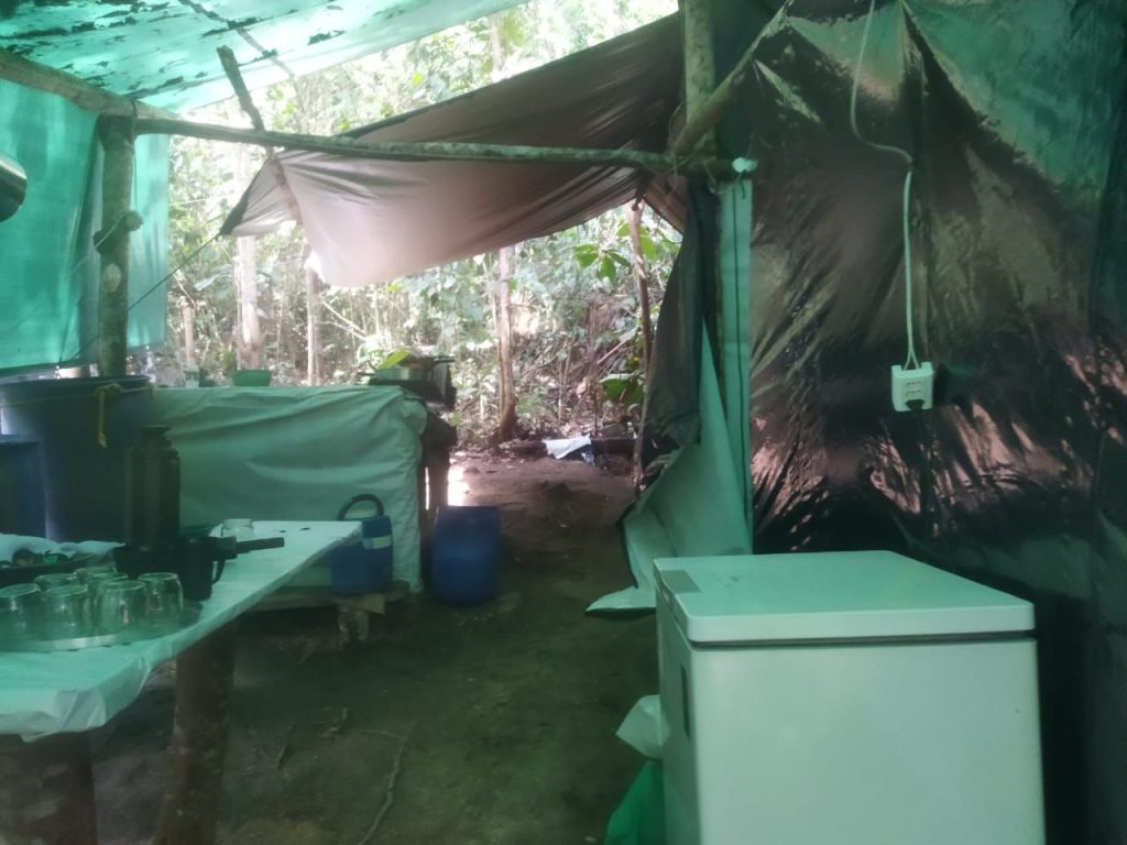 Operação das Forças Armadas destrói 5 acampamentos na Terra Yanomi, em RR