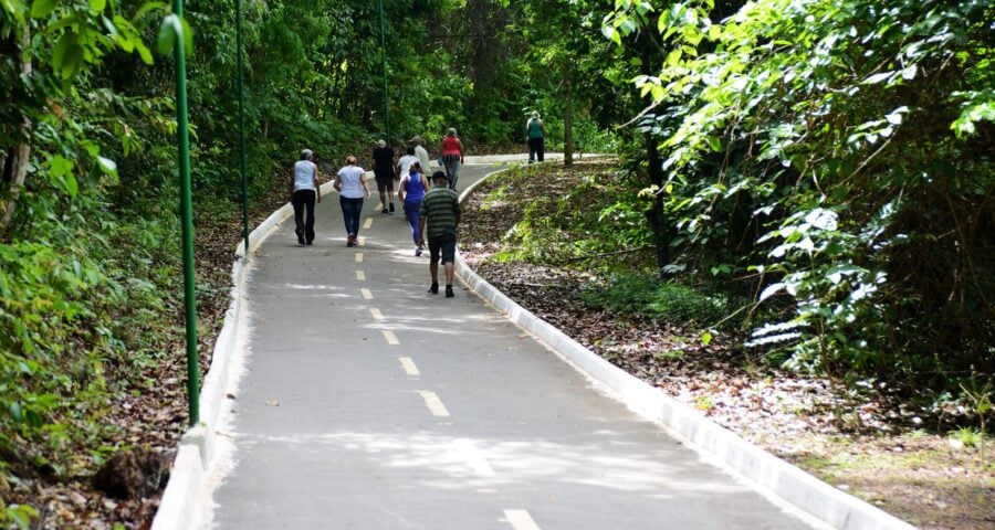 Parte da pista do Parque Cesamar. - Foto: Reprodução