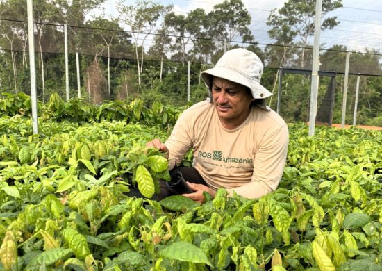 TV Norte Acre estreia programa voltado para o agronegócio