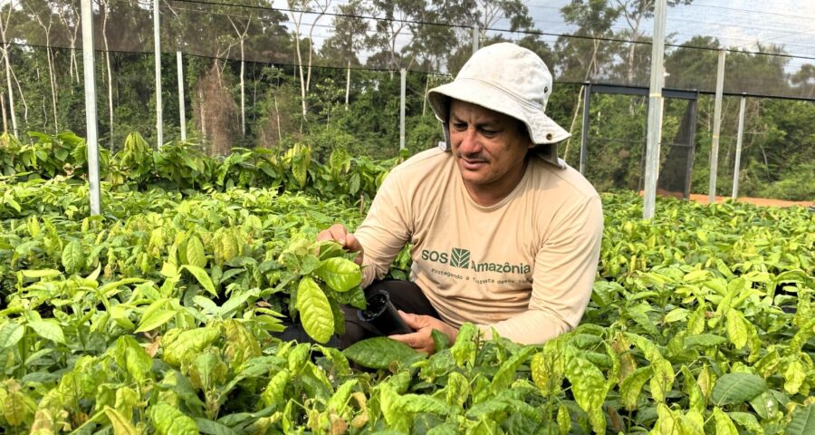 TV Norte Acre estreia programa voltado para o agronegócio