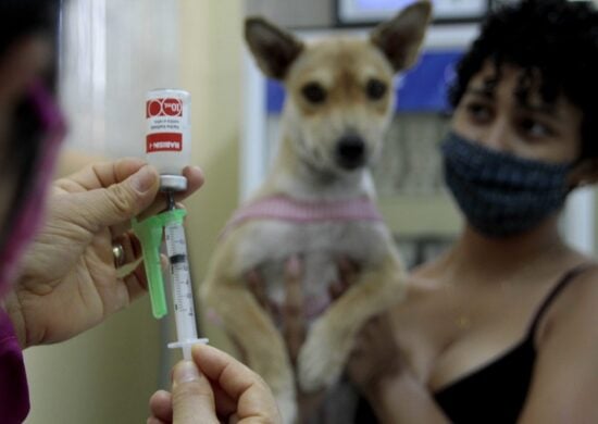 Vacinação Antirrábica Animal em Manaus - Foto:Altemar Alcântara/Semcom