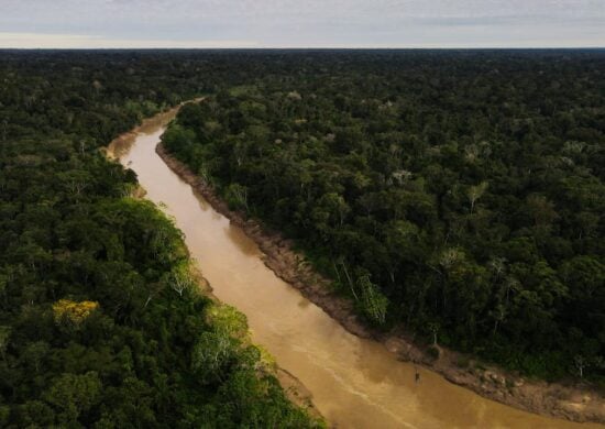 Acre reduz o desmatamento em 59% em um ano, segundo Imazon