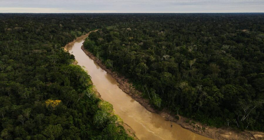 Acre reduz o desmatamento em 59% em um ano, segundo Imazon