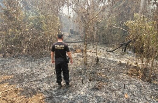 Dois homens são presos em flagrante por queimada ilegal em Manaus