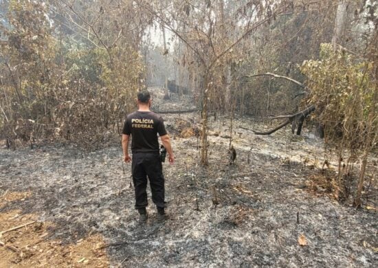 Dois homens são presos em flagrante por queimada ilegal em Manaus