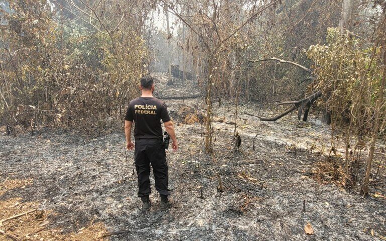 Dois homens são presos em flagrante por queimada ilegal em Manaus