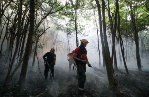 Em 20 anos, Amazonas tem aumento de quase 134% em queimadas anualmente