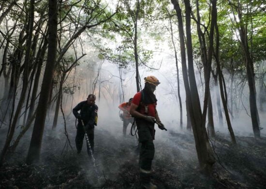 Em 20 anos, Amazonas tem aumento de quase 134% em queimadas anualmente