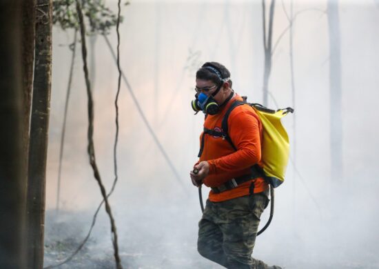 Em 3 dias, Amazonas tem aumento de 262% nos focos de calor comparado a 2022