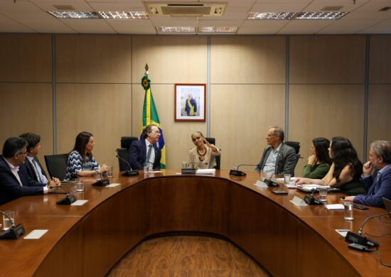 Ministra Marina Silva durante reunião com o presidente do Sebrae, Décio Lima e a diretoria da entidade - Foto: ASCOM/MMA