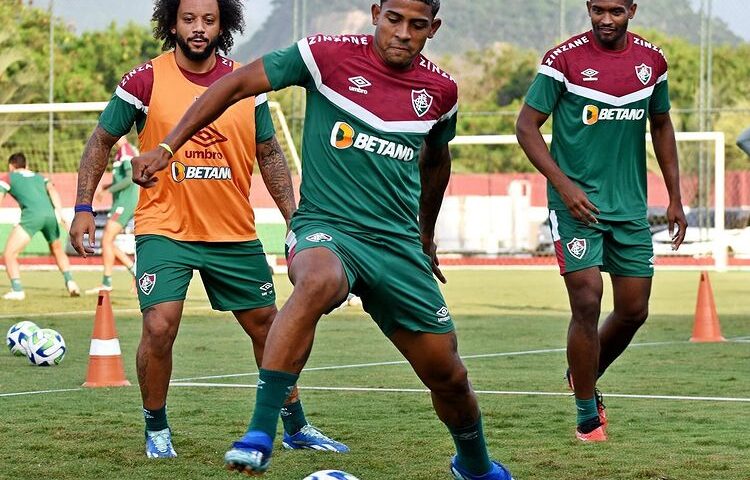 O Fluminense enfrenta o Goiás nesta quarta (25) pela 29ª rodada do Brasileirão - Foto: Reprodução/Marcelo Gonçalves / FFC