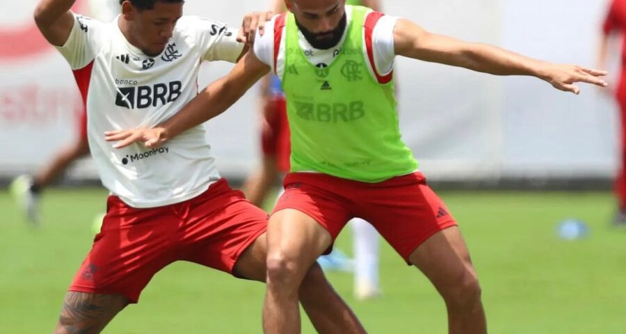 Tite tem treinado a intensidade da equipe do Flamengo - Foto: Reprodução/Gilvan de Souza / CRF