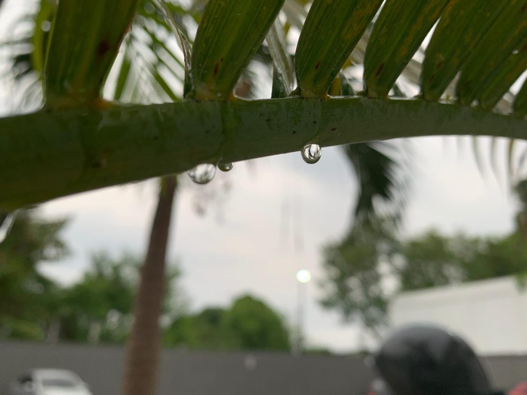 Gota de chuva em Manaus - Foto: Rebeca Nunes/GNC